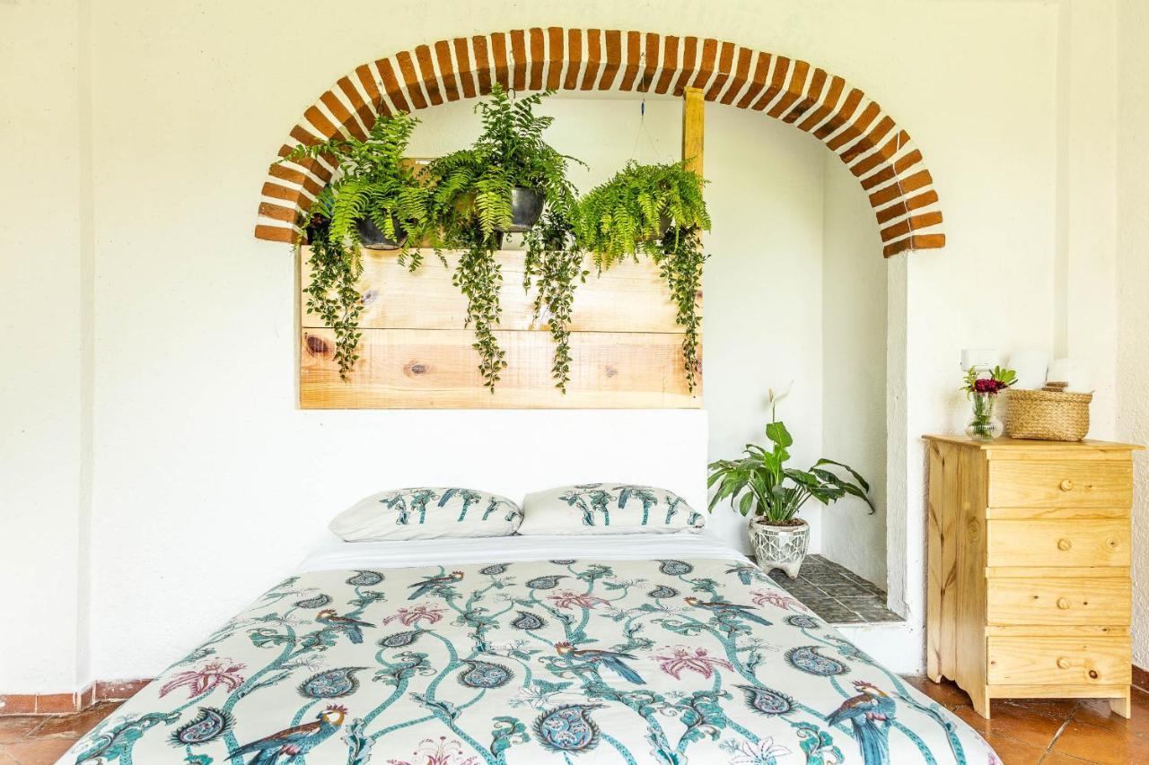Hotel Colibri Turquesa Tepoztlán Esterno foto